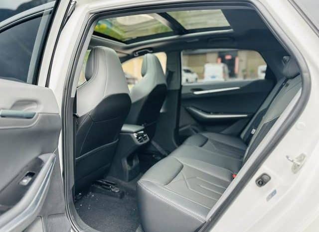 
								Changan Raeton PLUS, 2023 full									