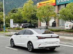 
										Changan Raeton PLUS, 2023 full									