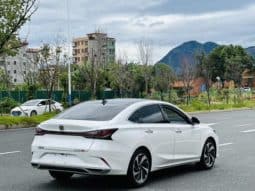 
										Changan Raeton PLUS, 2023 full									