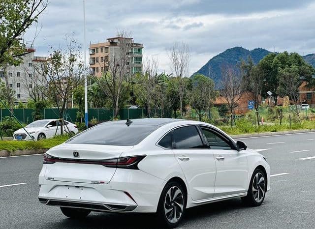 
								Changan Raeton PLUS, 2023 full									