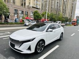 
										Changan Raeton PLUS, 2023 full									