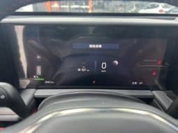 
										Ford Edge (II), 2023 full									