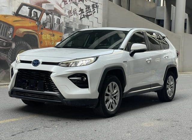 67990d5ea0410 Toyota Wildlander, 2020