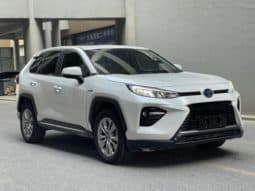 
										Toyota Wildlander, 2020 full									