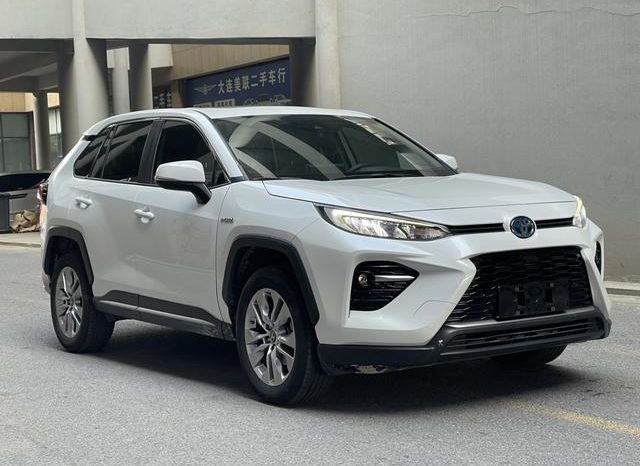 
								Toyota Wildlander, 2020 full									