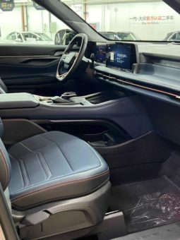 
										Ford Edge (II), 2024 full									