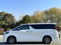 
										Toyota Vellfire (II), 2020 full									