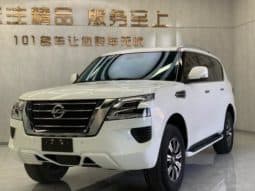 6799d253821a1 Nissan Patro (IV), 2020