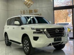 
										Nissan Patro (IV), 2020 full									