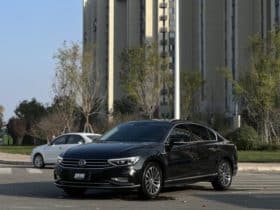 Volkswagen Magotan, 2021