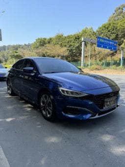 
										Hyundai Lafesta, 2020 full									