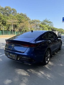 
										Hyundai Lafesta, 2020 full									