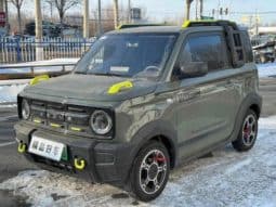 67ab0c3d86053 Geely Panda, 2024