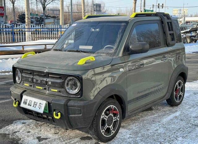 67ab0c3d86053 Geely Panda, 2024