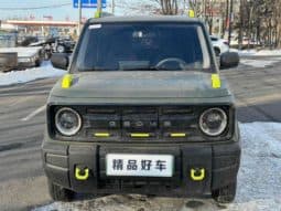 
										Geely Panda, 2024 full									