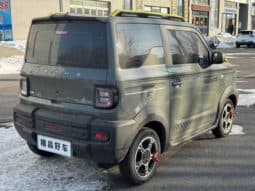 
										Geely Panda, 2024 full									