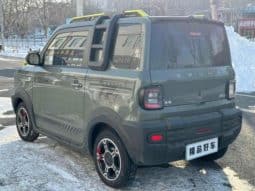 
										Geely Panda, 2024 full									