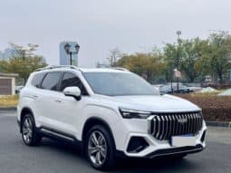 
										Geely Okavango (II), 2023 full									