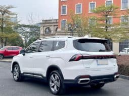 
										Geely Okavango (II), 2023 full									