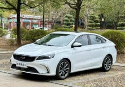 67aea8a362aae Geely Binrui, 2021