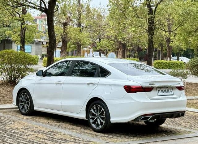 
								Geely Binrui, 2021 full									