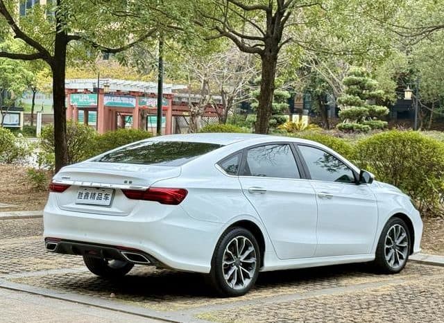 
								Geely Binrui, 2021 full									