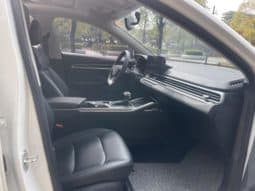 
										Geely Emgrand, 2022 full									