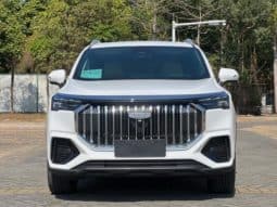 
										Geely Okavango (II), 2023 full									