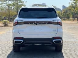 
										Geely Okavango (II), 2023 full									