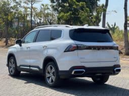 
										Geely Okavango (II), 2023 full									
