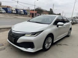 67b1e3b6033b9 Toyota Corolla(XI), 2021