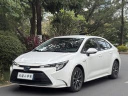 67b2093e346fa Toyota Levin, 2025