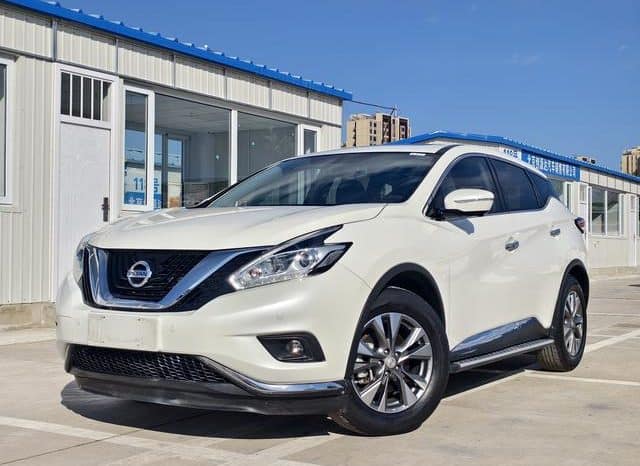 67b23cd987178 Nissan Murano (III), 2020
