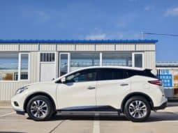 
										Nissan Murano (III), 2020 full									