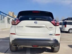 
										Nissan Murano (III), 2020 full									