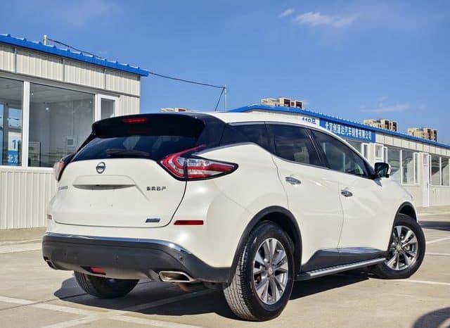 
								Nissan Murano (III), 2020 full									