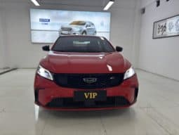 
										Geely Binrui, 2021 full									