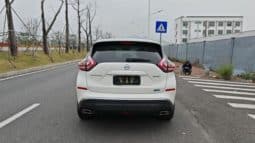 
										Nissan Murano (III), 2021 full									