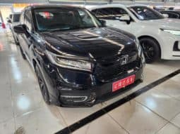 
										Honda Avancier (II), 2020 full									