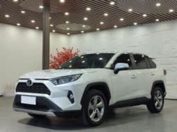 67b6e617af056 Toyota RAV4 (IV), 2023