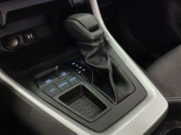 
										Toyota RAV4 (IV), 2023 full									