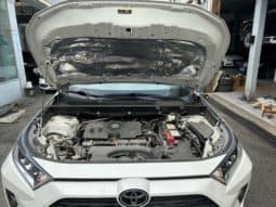 
										Toyota RAV4 (IV), 2020 full									