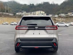 
										Toyota Wildlander, 2022 full									