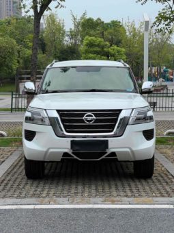 
										Nissan Patro (IV), 2020 full									