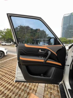 
										Nissan Patro (IV), 2020 full									