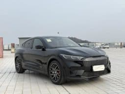 
										Ford Mustang Mach-E, 2023 full									