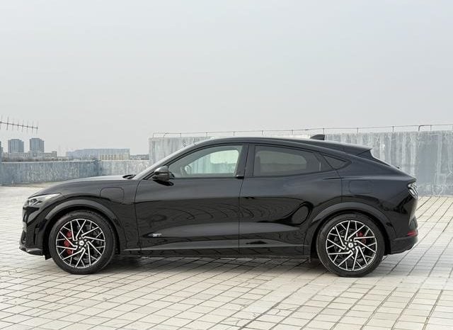 
								Ford Mustang Mach-E, 2023 full									