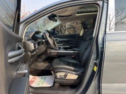 
										Geely Okavango (I), 2021 full									