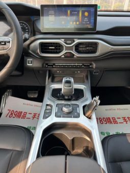 
										Geely Okavango (I), 2021 full									