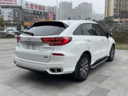 
										Honda Avancier (II), 2021 full									
